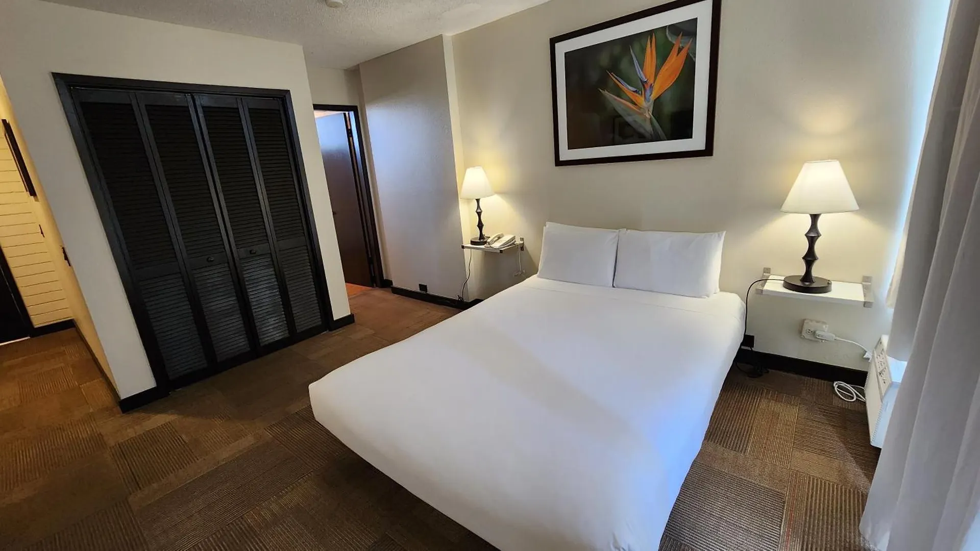 Stay Hotel Waikiki Honolulu
