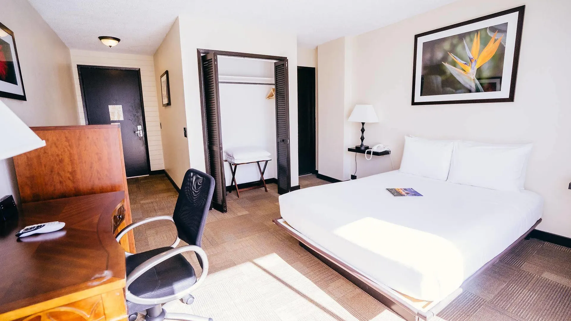 Stay Hotel Waikiki Honolulu